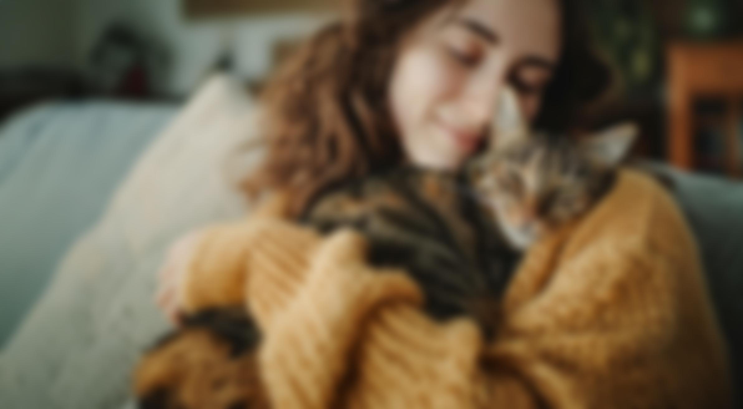 Animal Welfare (Furness) | Charici