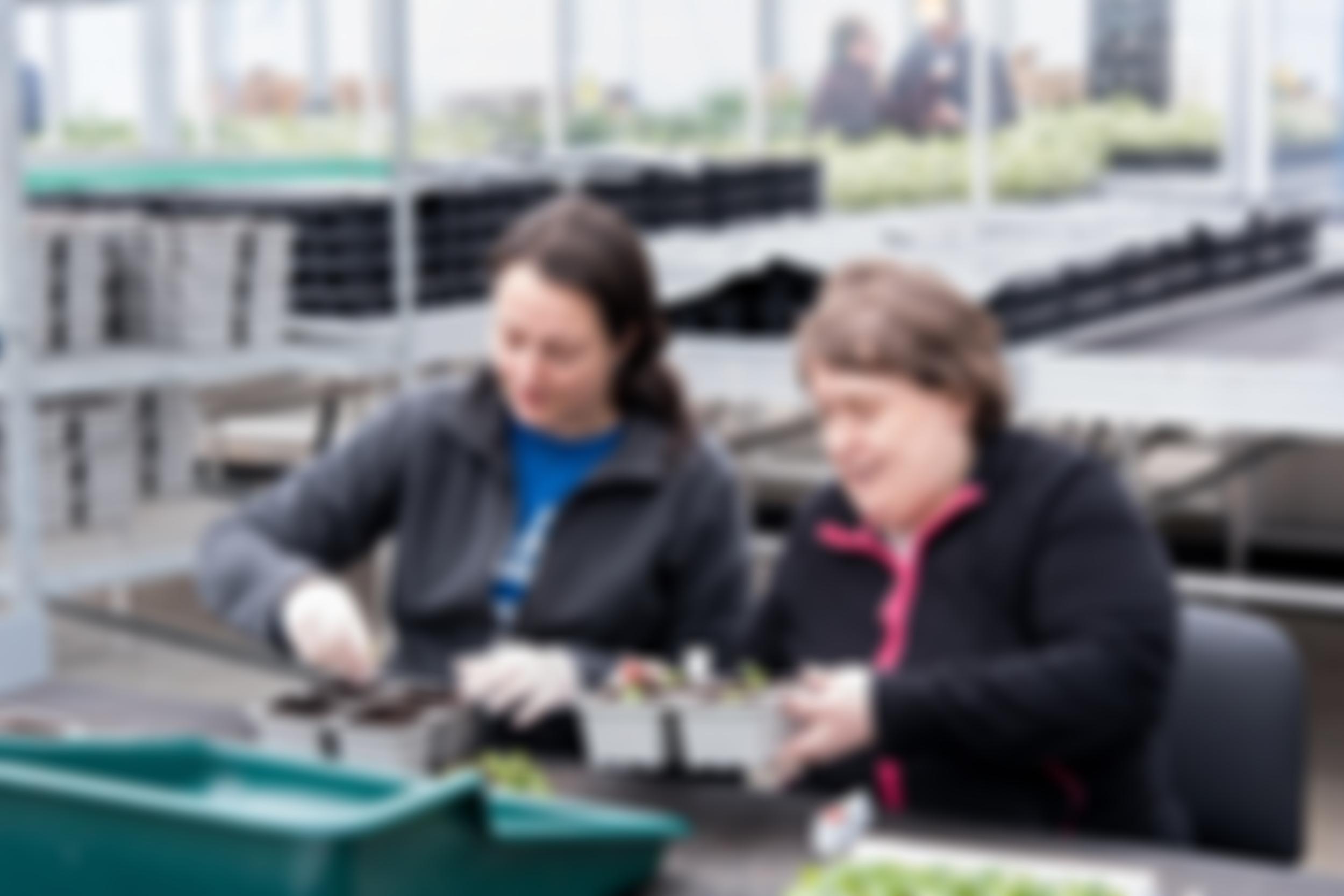 Caring For Life | Charici