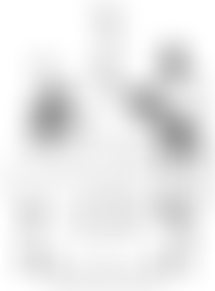 Wallasey District Scout Council | Charici