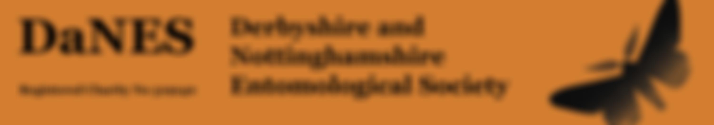 The Derbyshire And Nottinghamshire Entomological Society | Charici