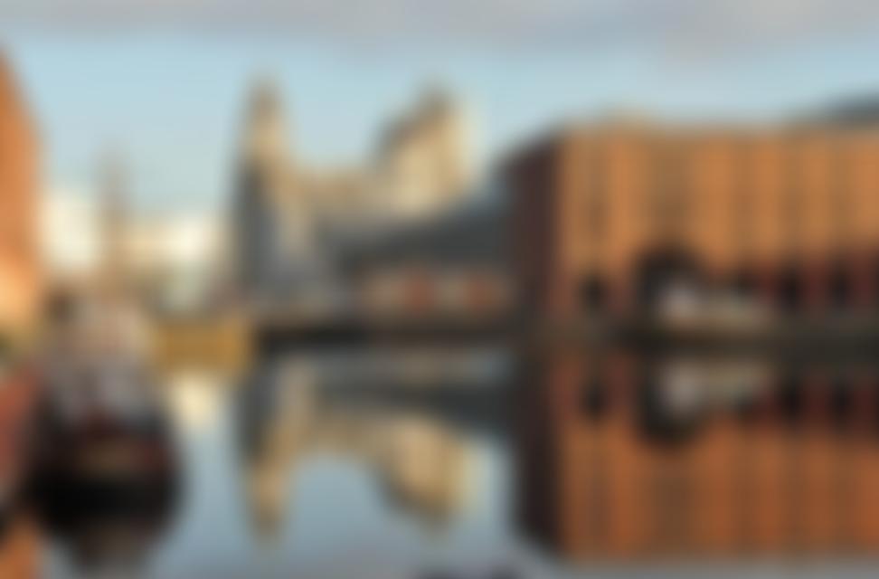 The Merseyside Civic Society | Charici