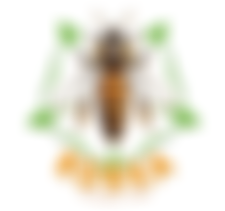 Richmond And District Beekeepers Association | Charici