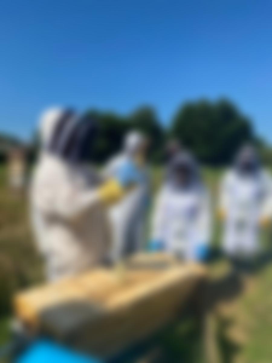 South Staffordshire And District Beekeepers Association | Charici