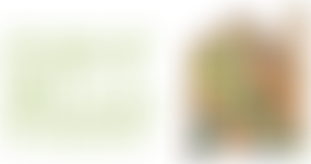 The Hebden Bridge Nursery Action Group Limited | Charici