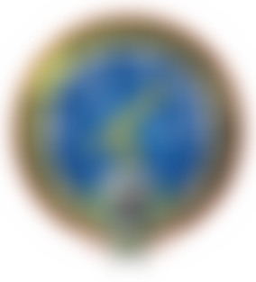 Liverpool Astronomical Society | Charici