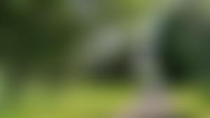 Colt Park Recreation Field | Charici