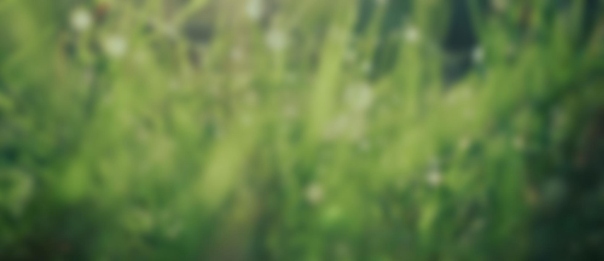 The Derbyshire Federation Of Young Farmers Clubs | Charici