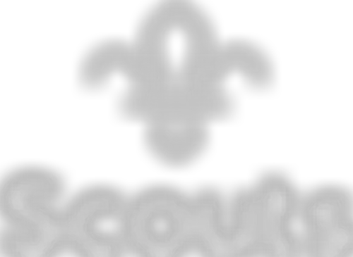 Cumbria County Scout Council | Charici