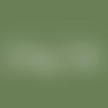 Waltham Village Institute | Charici