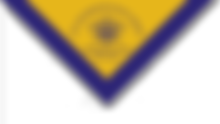 1St Withington Scout Group | Charici