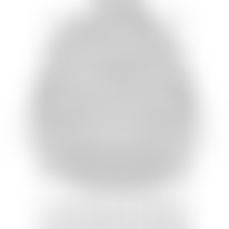 The Textile Institute | Charici