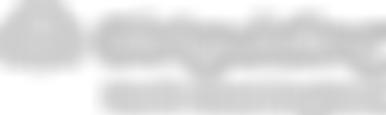 The Guide Association North West England | Charici