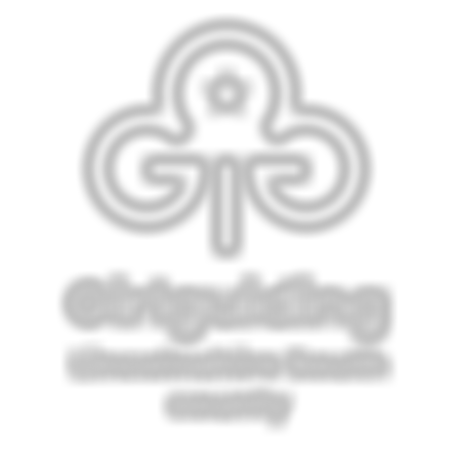 Lincolnshire South Guides | Charici