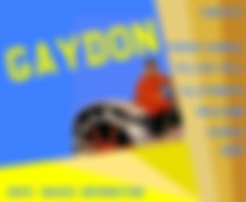 Gaydon Village Hall | Charici