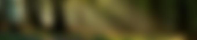 Institute (Chaddesley) | Charici