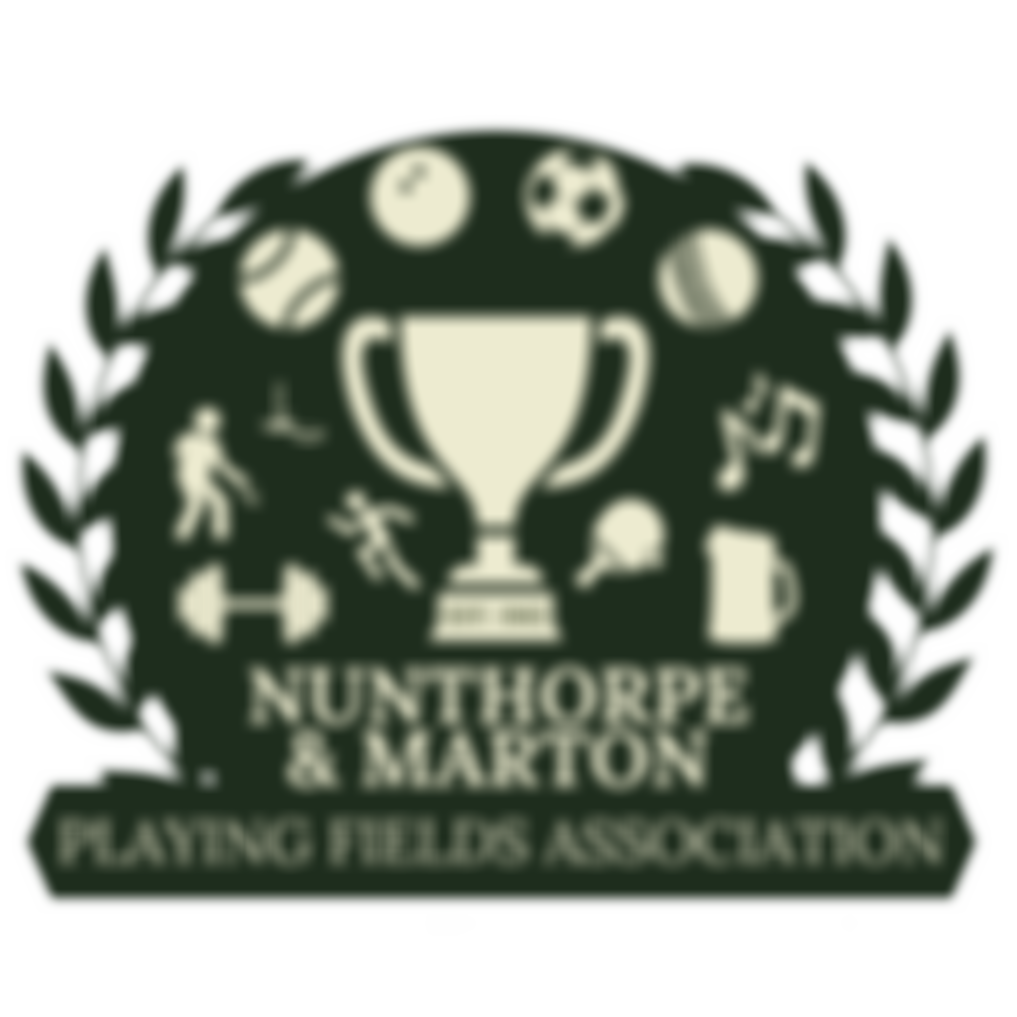 Nunthorpe And Marton Playing Fields Association | Charici