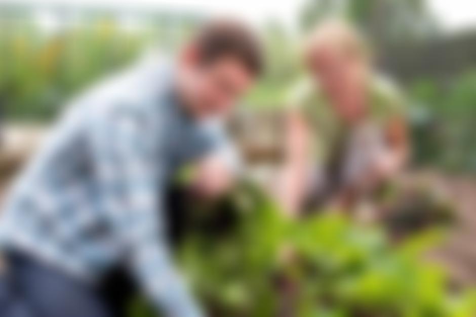 The Royal Horticultural Society | Charici