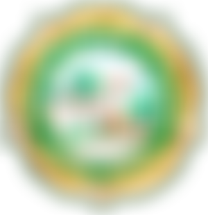 Barwick-In-Elmet Children's Playground | Charici