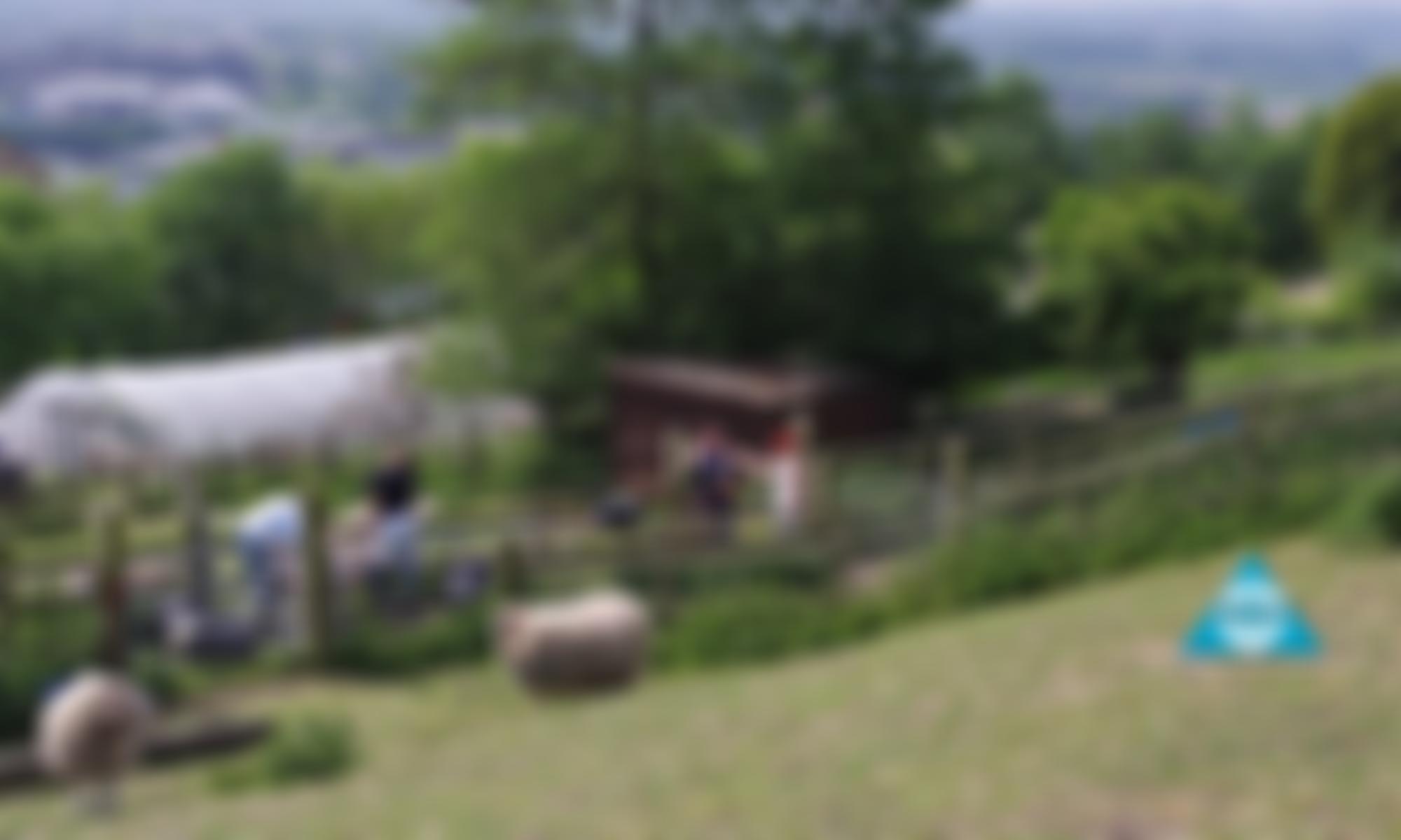 Prism Youth Project | Charici