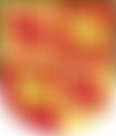 Aberffraw Village Hall | Charici