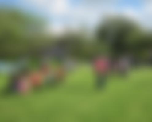 Sicklinghall Village Hall | Charici