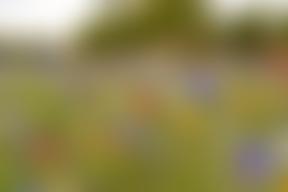 The Narth And District Village Hall | Charici