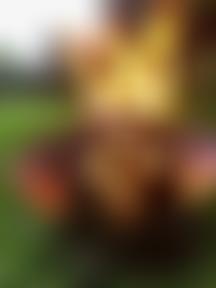 6Th Lichfield Scout Group | Charici