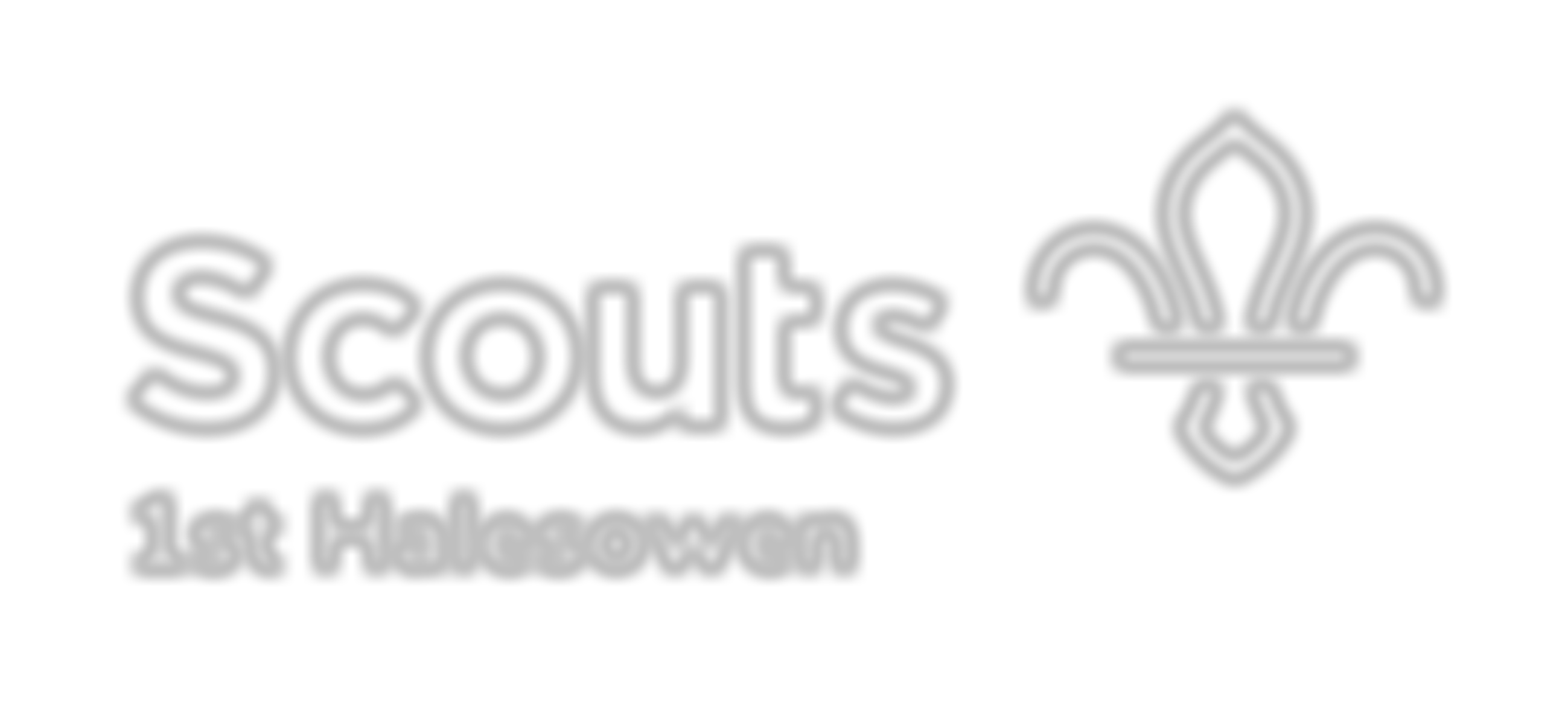 1St Halesowen Scout Group | Charici