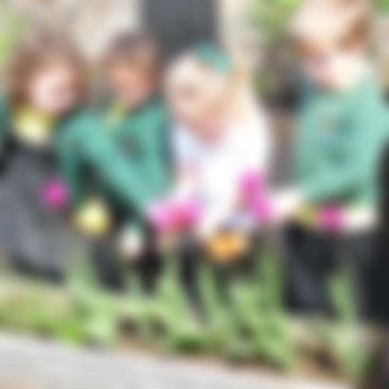 Penrith Pre-School Nursery & Toddler Group | Charici