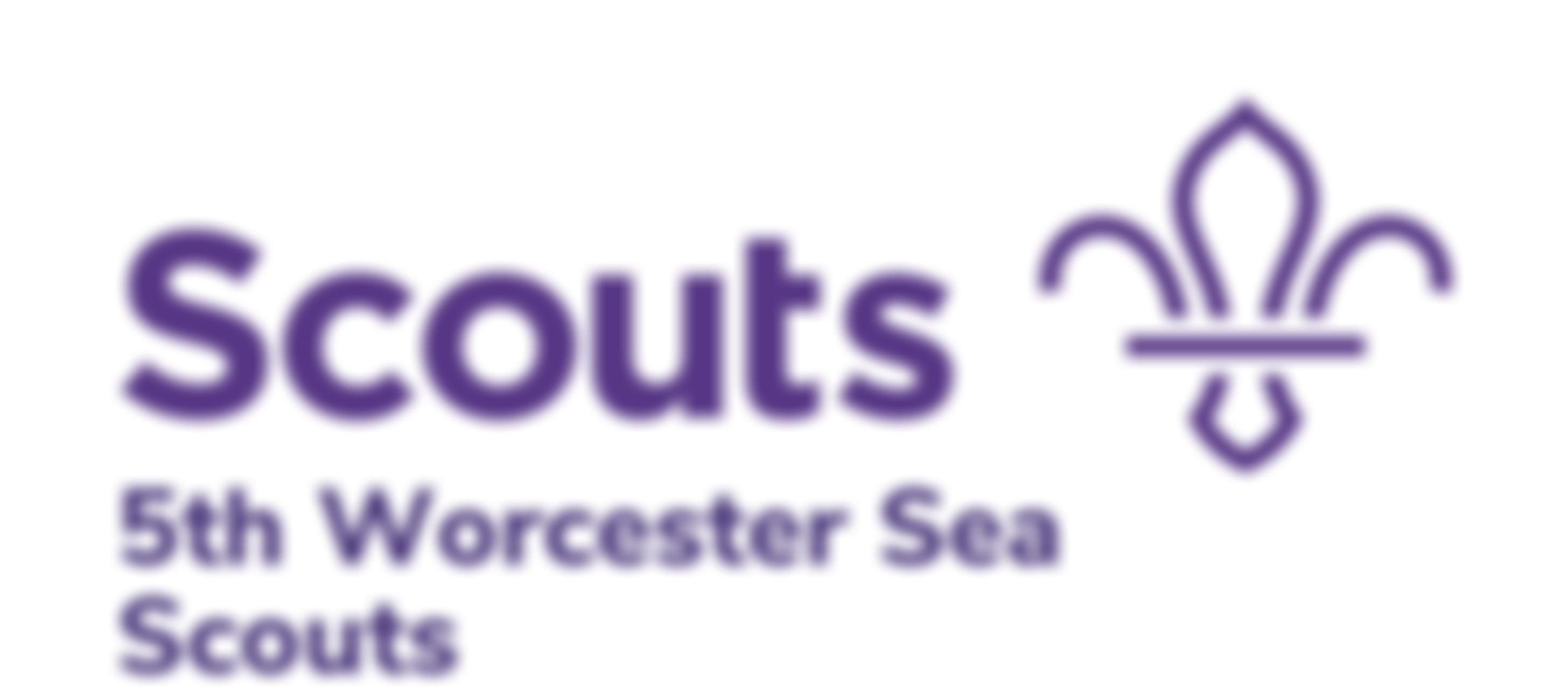 5Th Worcester Scout Group | Charici