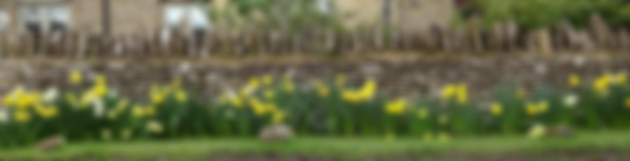 The Carter Institute | Charici