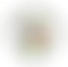 The Manchester Association Of Engineers | Charici