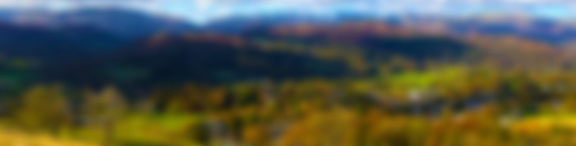 Kelsick's Educational Foundation | Charici