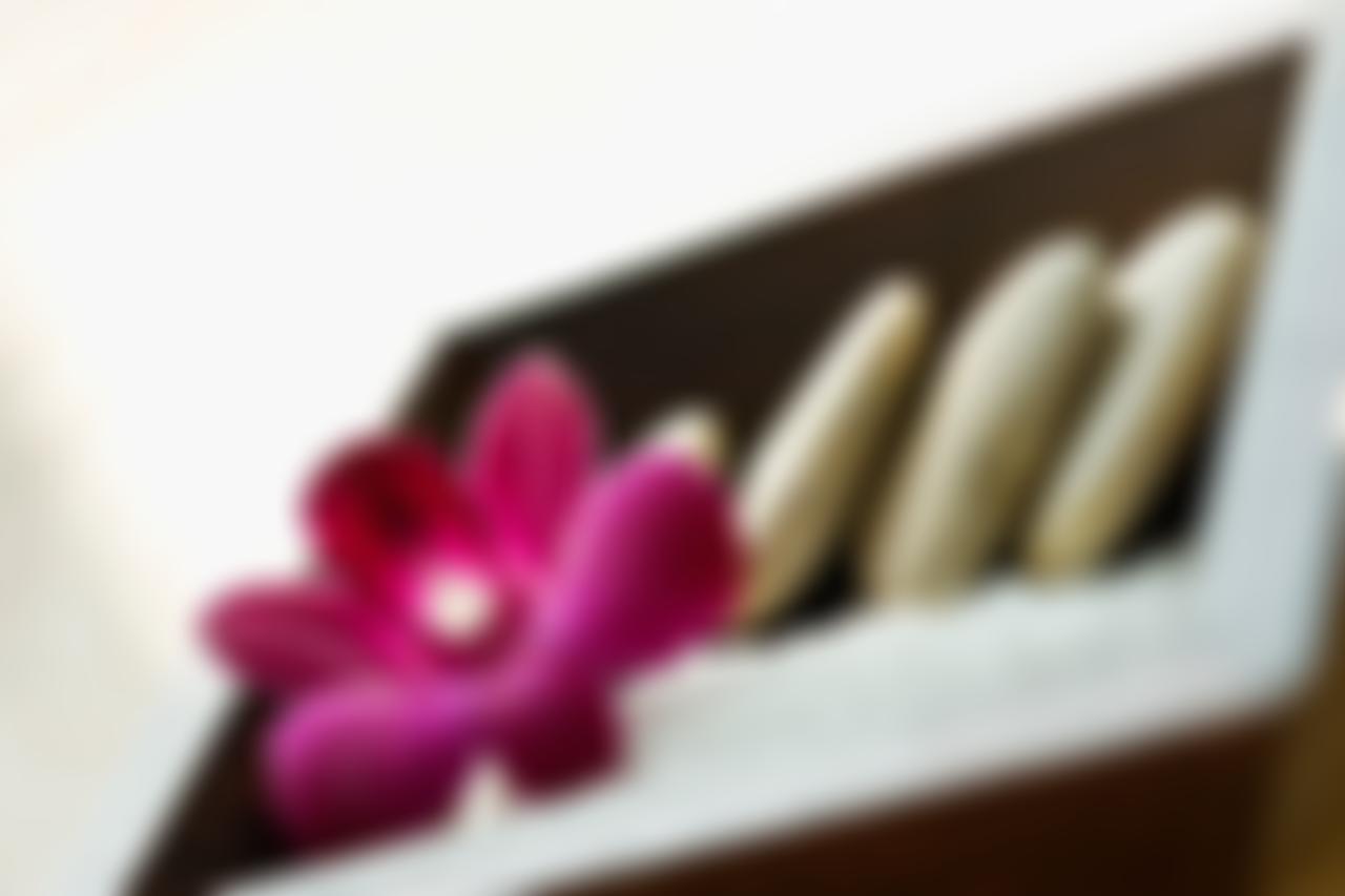 Shomrei Mitzvos - Pearls | Charici