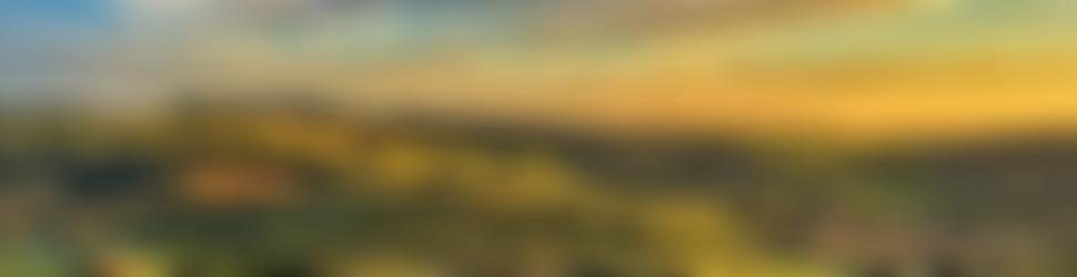 Common Allotments | Charici