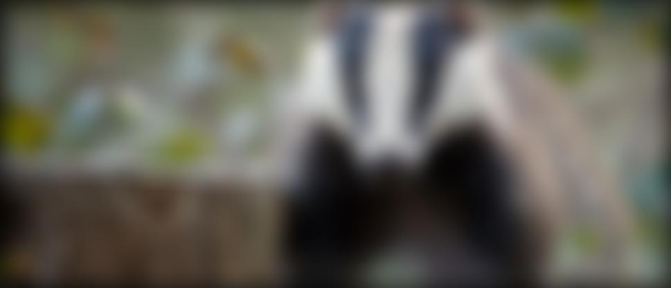 Staffordshire Badger Conservation Group | Charici