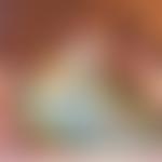 Northern Stage (Theatrical Productions) Limited | Charici