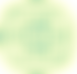 One World Link (Warwick District - Bo District) | Charici