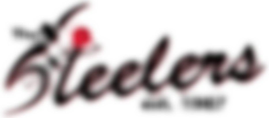 Steelers Wheelchair Basketball Team | Charici