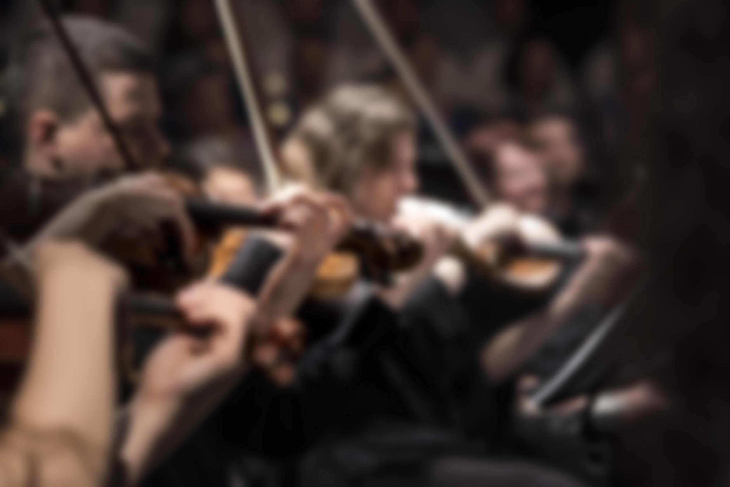 Harrogate Philharmonic Orchestra | Charici