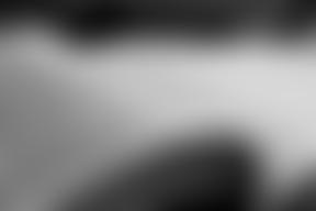 The Elgar School Of Music Limited | Charici