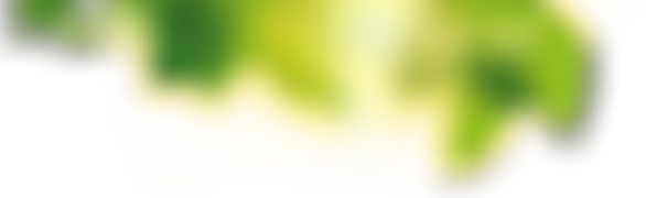 Holbeach And East Elloe Hospital Trust | Charici