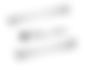 Friends Of Whitby Abbey | Charici