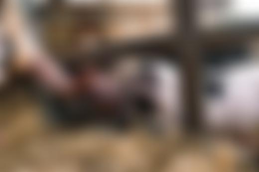 Woodgate Valley Urban Farm Ltd | Charici