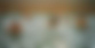 Towy Salmon Swimming Club | Charici