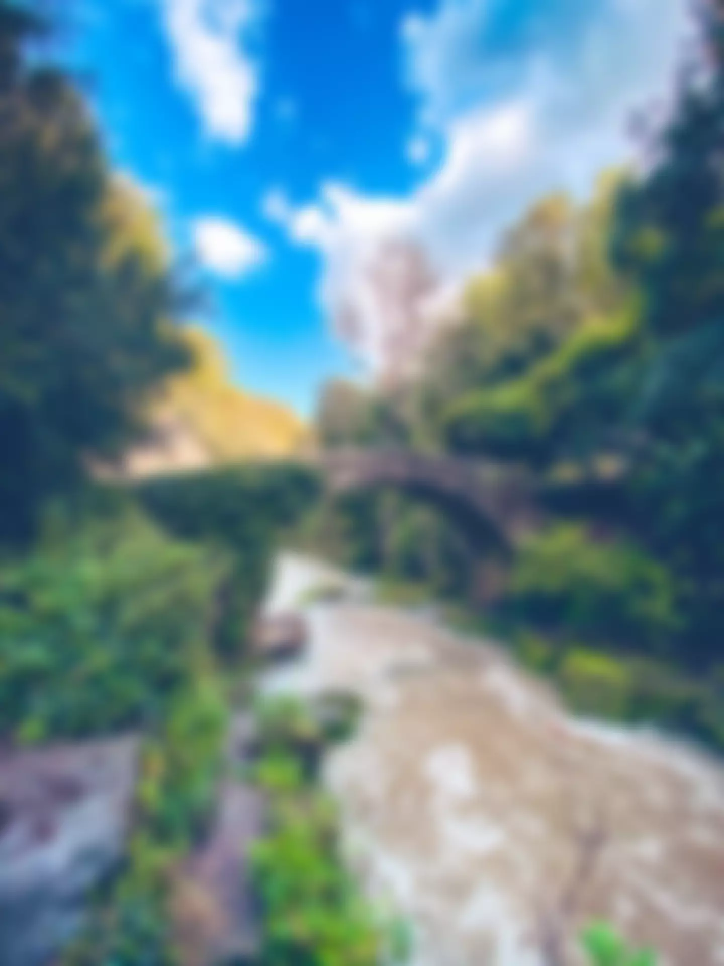 The Friends Of Jesmond Dene | Charici