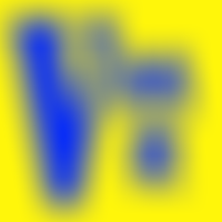 Midland Vietnamese Community Association | Charici