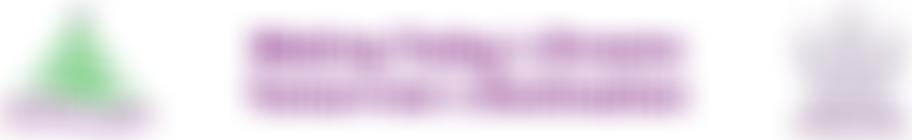 Northern Lights | Charici