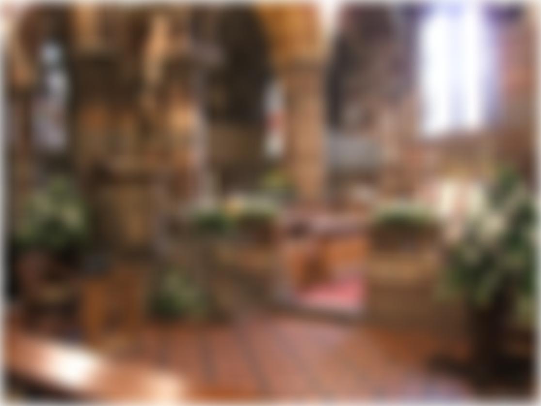 The Constance Treasure Memorial Charitable Trust | Charici