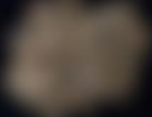 St Neots Museum Limited | Charici